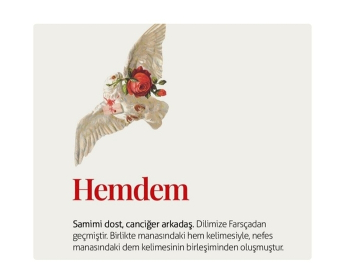 Seninde hemdemin var mı?