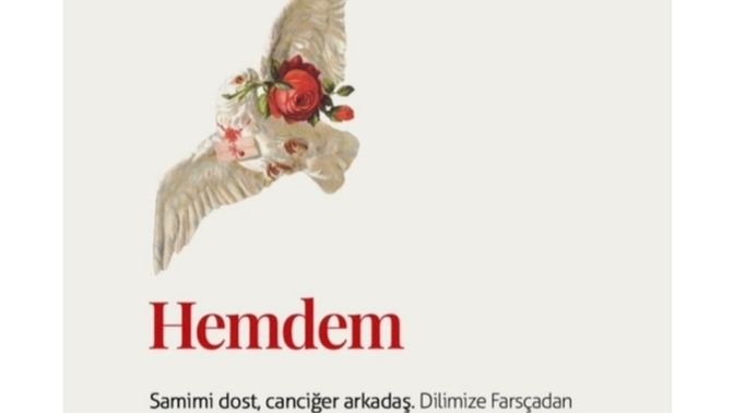 Seninde hemdem'in var mı?