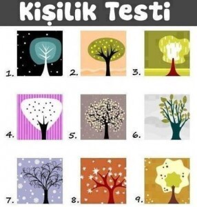 Kişilik Testi hadi bakim?