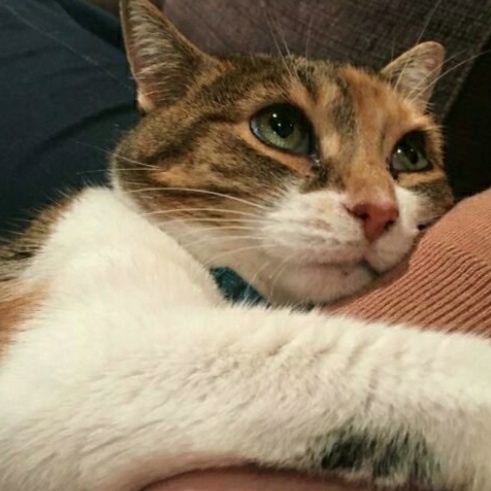Ona çekildiğiniz biri var mı?