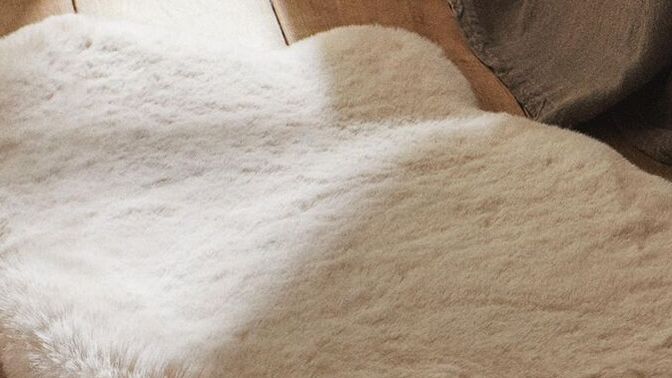 Peluşumsu halı almak pişmanlık mıdır?