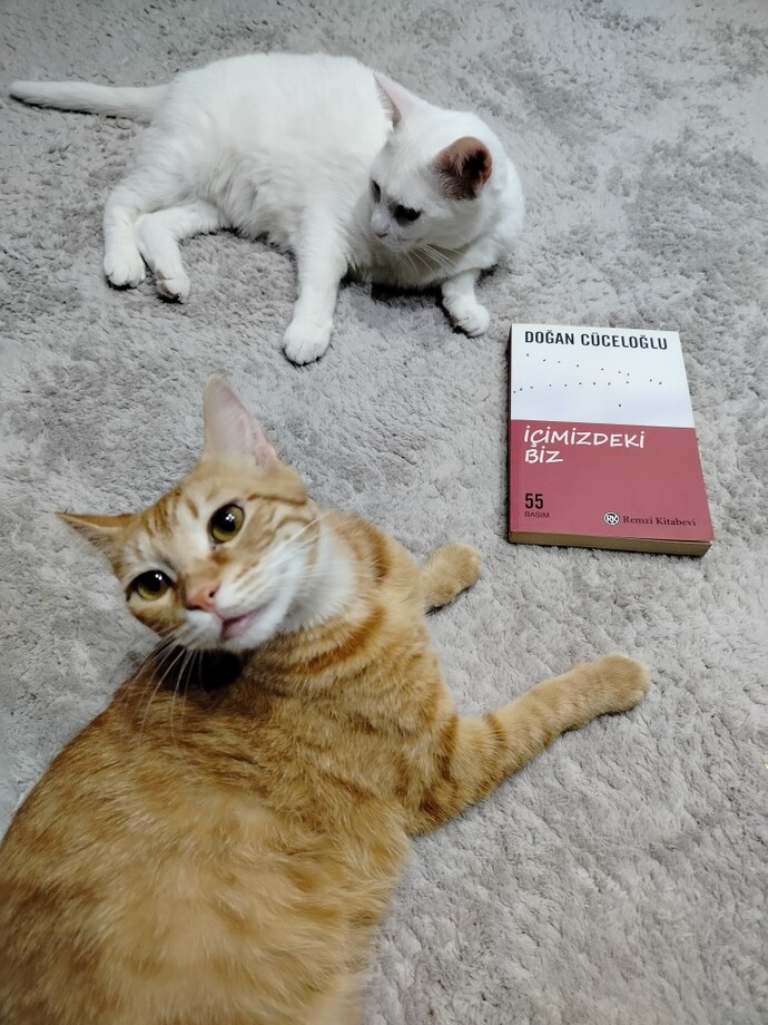 Okumadıysan ayıp etmişsin, pü! dediğiniz kitaplar var mı?