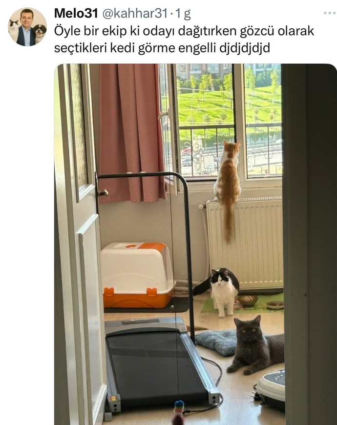 Şaşırmıyorum artık hiçbir duruma 😁