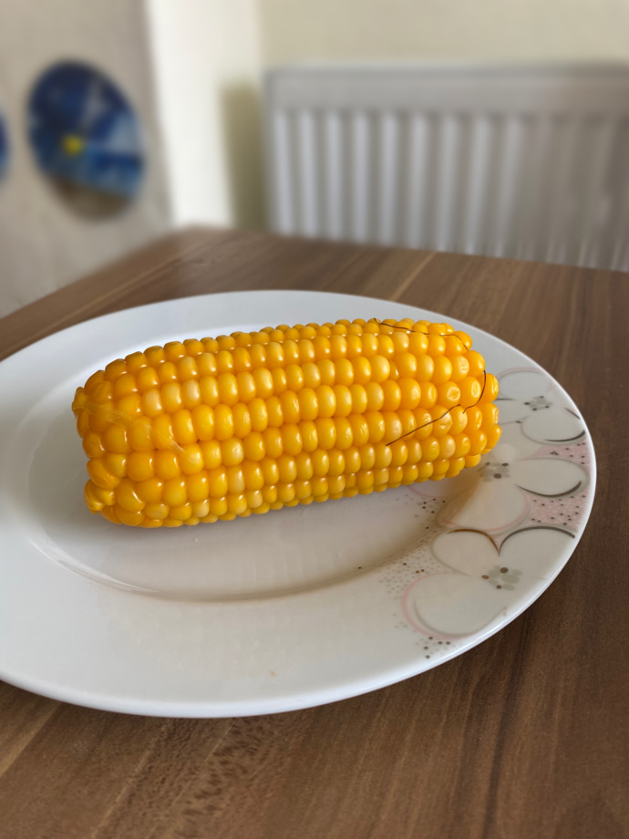 Mısırı Haslama mı seversiniz közde mi?