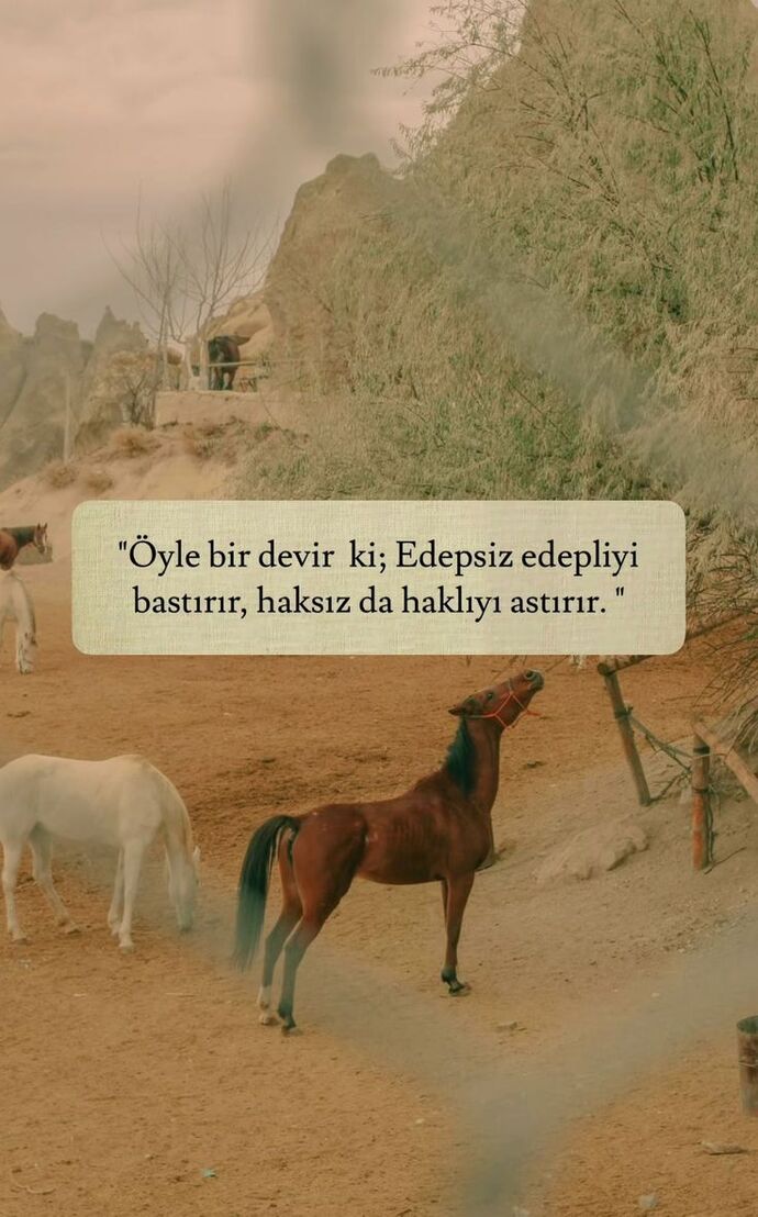 Bugüne hangi sözü bırakırsınız?