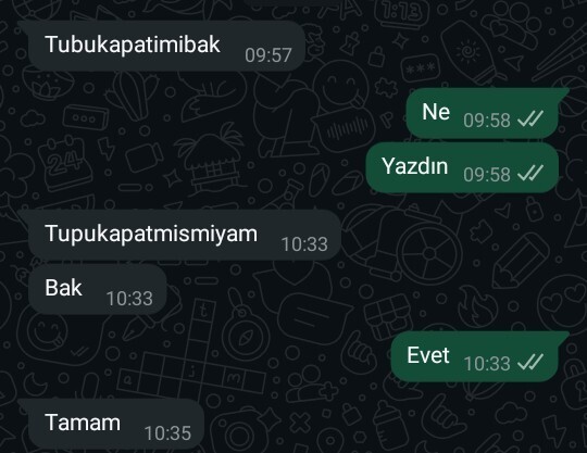 Şair burada ne yazmak istemiş?