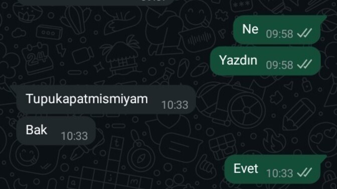 Şair burada ne yazmak istemiş?