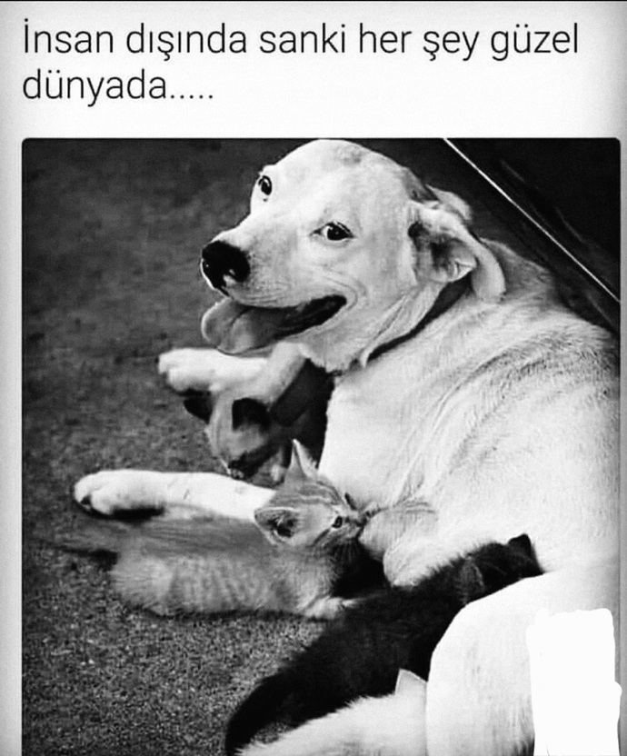Yeni tanıştığınız birinin hangi davranışı onu kendinize yakın hissettirir?