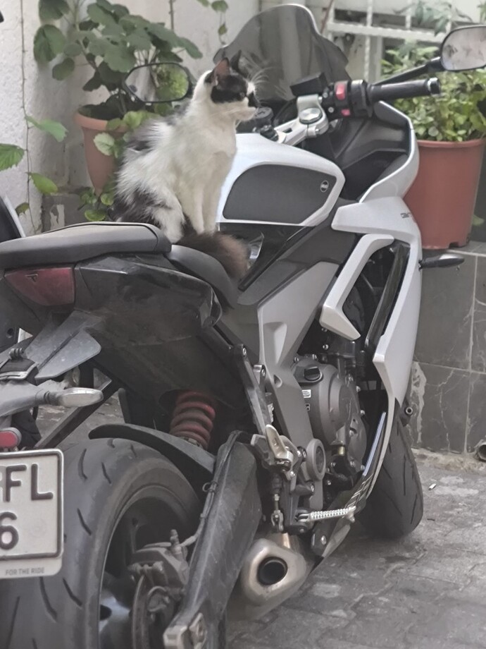 Hiç motorsiklet kullandınız/bindiniz mi?