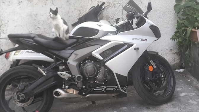 Hiç motorsiklet kullandınız/bindiniz mi?