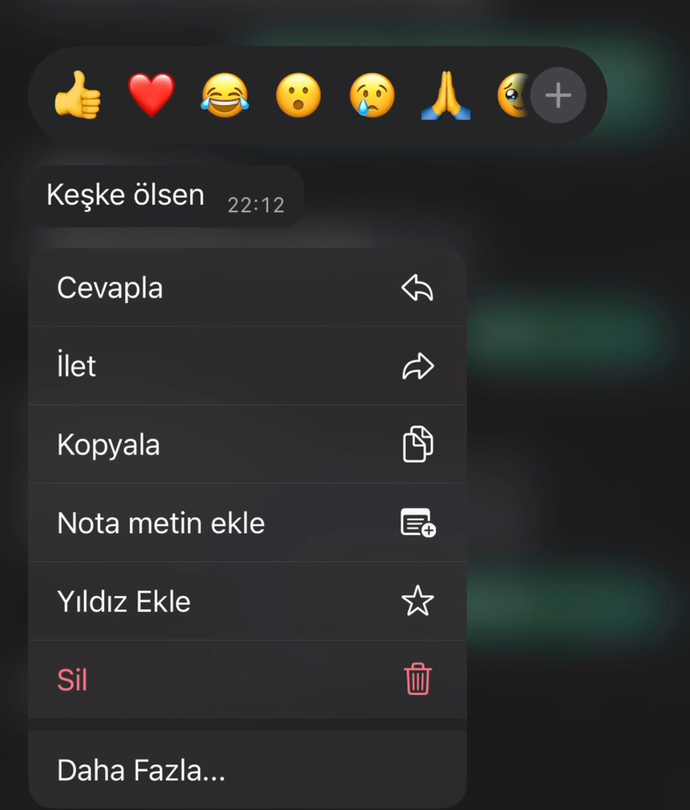 Hiç en sevdiğinizden böyle bir mesaj aldınız mı?