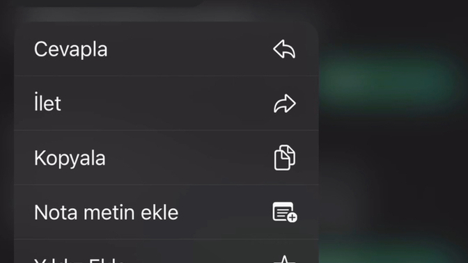 Hiç en sevdiğinizden böyle bir mesaj aldınız mı?