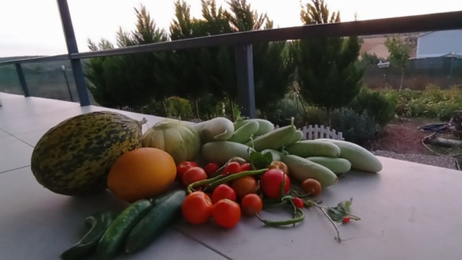 Bağ-bostan merakınız var mı?