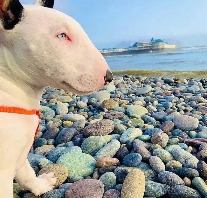 Çift olabilme potansiyeliniz var mı?