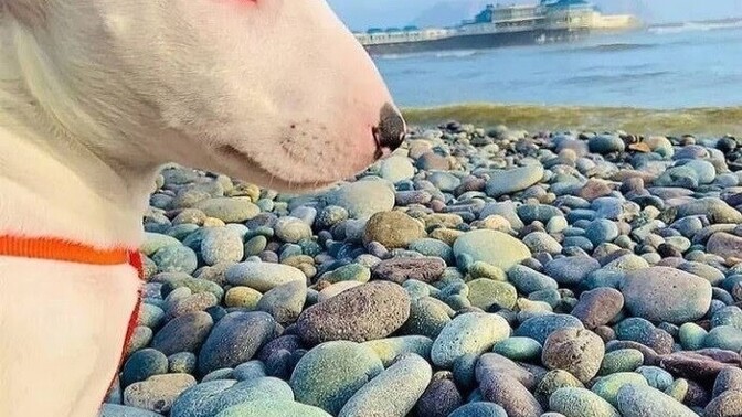Çift olabilme potansiyeliniz var mı?