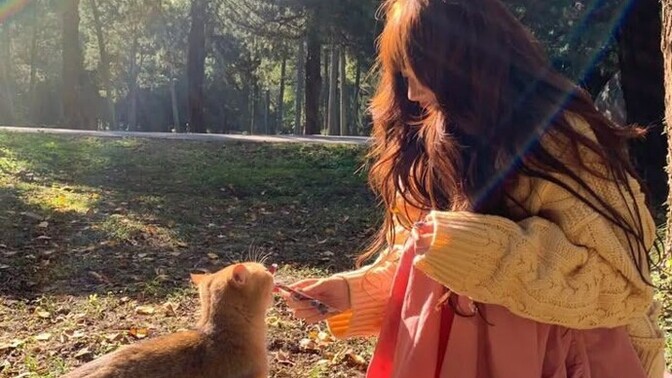 Hayvanlara karşı duyarlı olmayan insanlara karşı buradan neler söylemek isterdiniz?