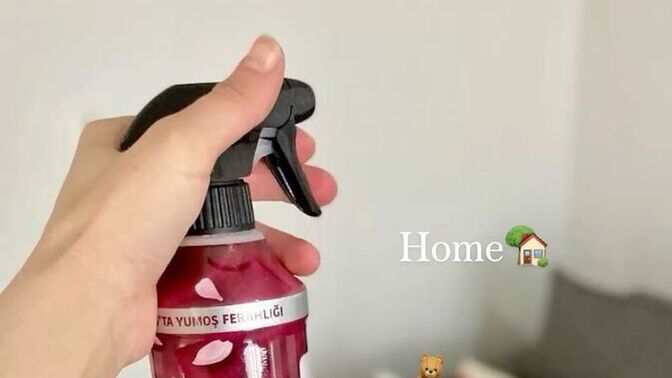 Ev temizliğinden sonra koku sıkar mısınız sizde?