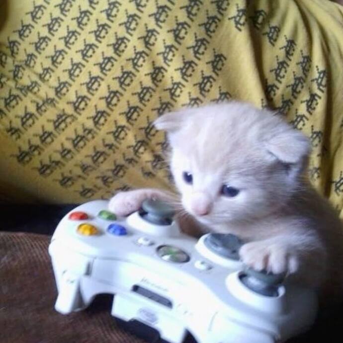 İnsanlardan uzak duruyorum evde pc ve ps4 var bir sürüde oyun var paramda biraz var abur cuburumuda alıyorum iyi mi sizce?
