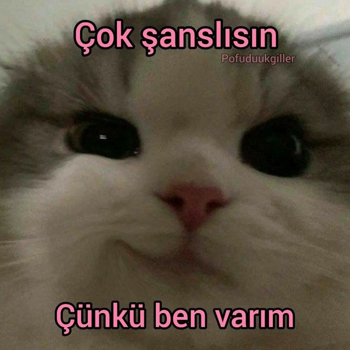 Kızlar neden sebebi nedir?