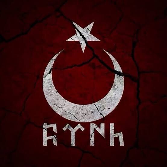 Türk olanlar yazsın bakalım ne kadar türk var?