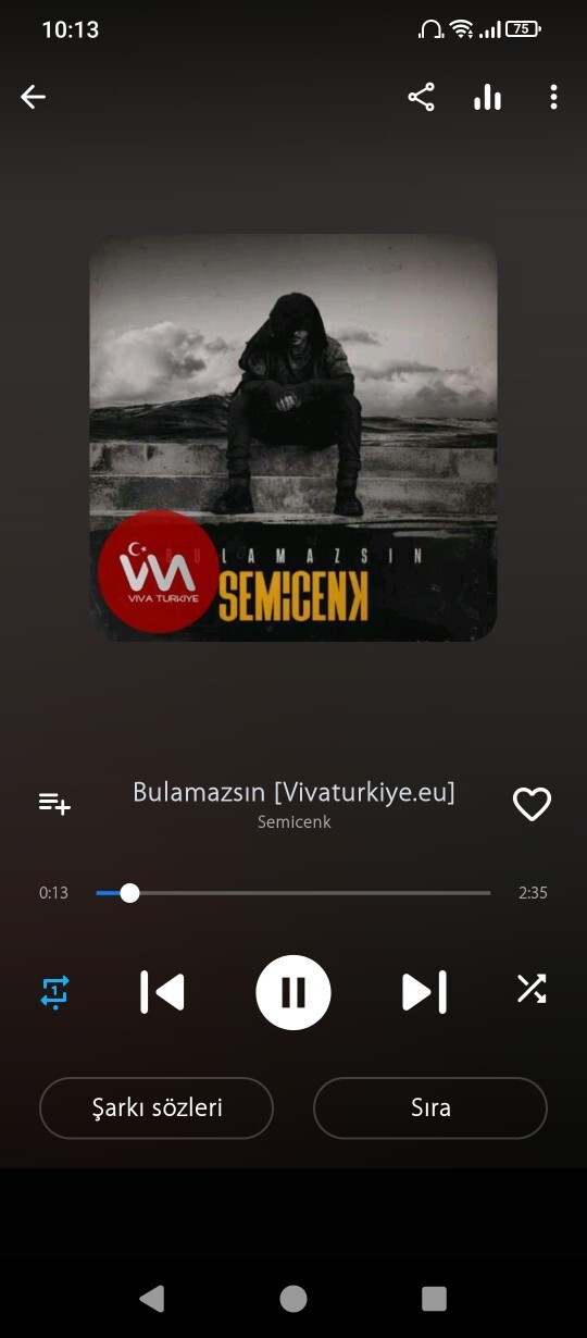 Sizce bu nasıl bir şarkı?