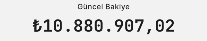 Hesabınızda Toplam Kaç Bin TL Var?
