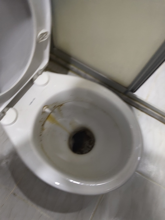Klozetin içi böyle olmuş, nasıl temizlenir?