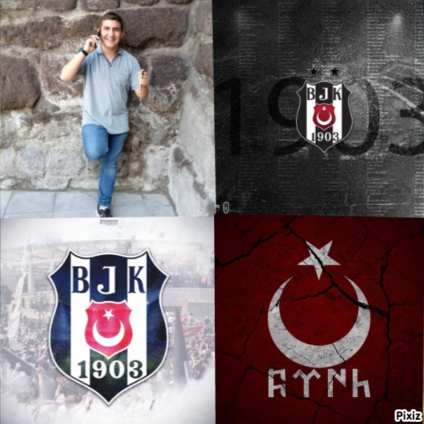 Bu fotaraf nasıl soruları alıyım?