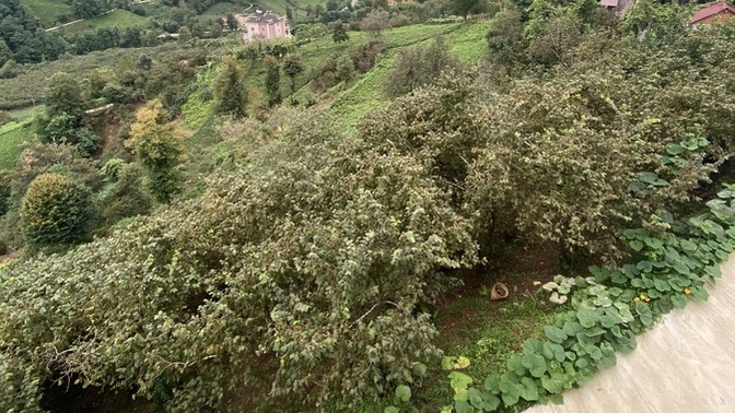 Yapmakta en çok zorlandığınız iş nedir?