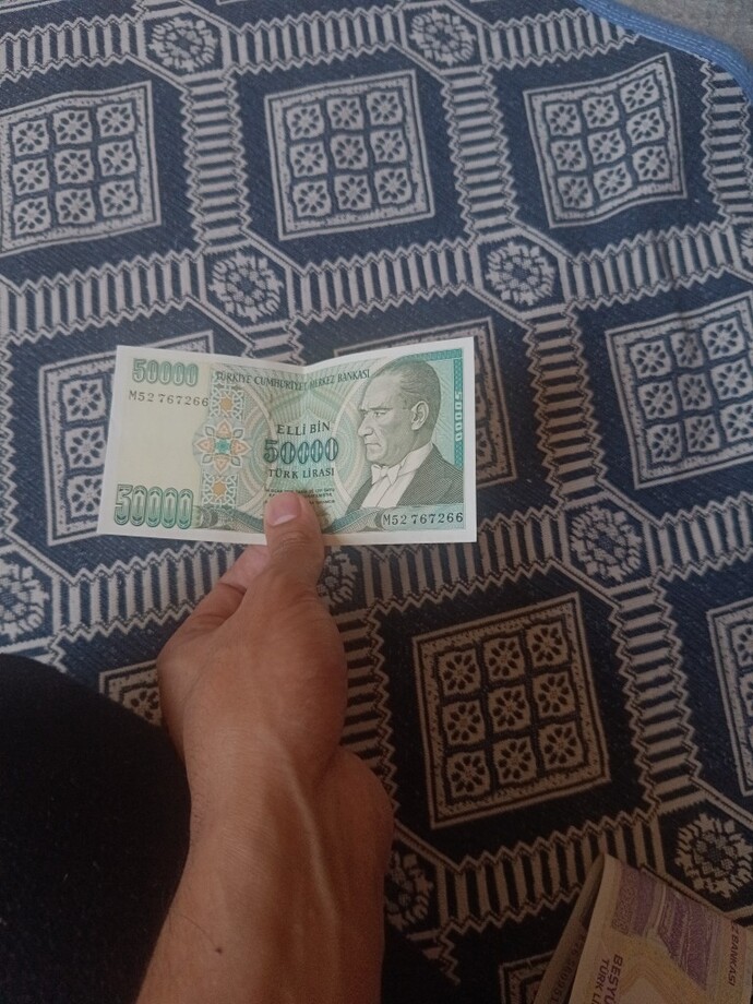 Elimde böyle paralar var ne kadar eder?