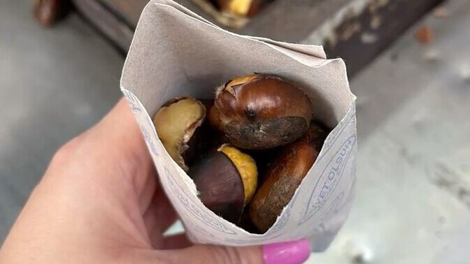 Közde kestane kokusu duyunca dayanamayanlardan mısın?
