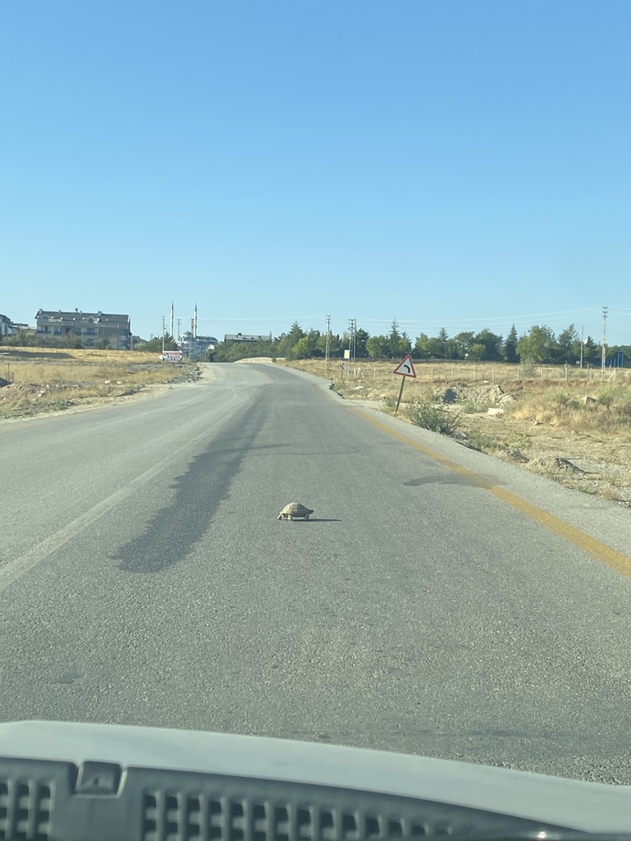 Yol verdiğiniz şeyler var mı?