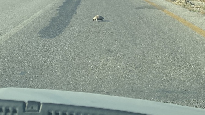 Yol verdiğiniz şeyler var mı?