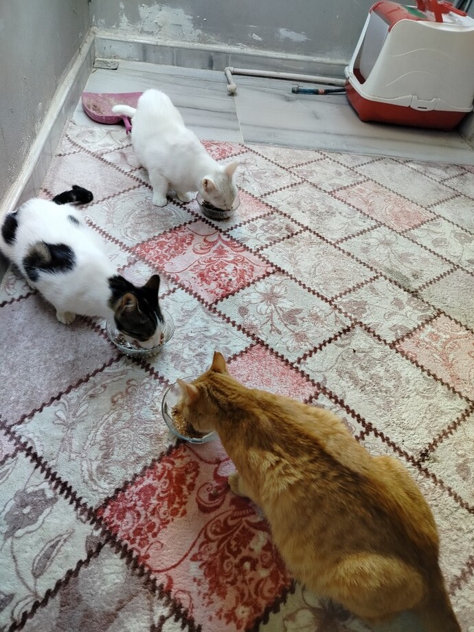 Senin için mutluluk nedir?