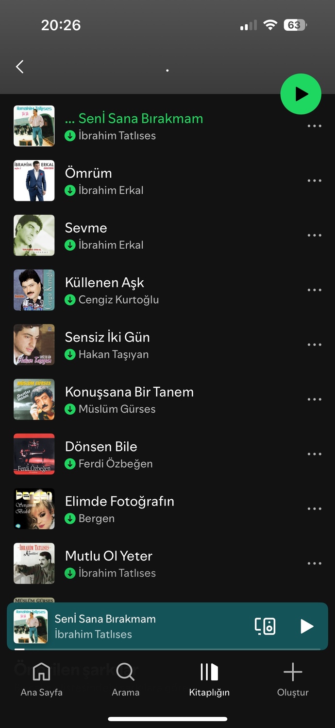 Ne tür şarkılar dinlersiniz?