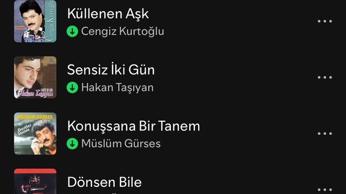 Ne tür şarkılar dinlersiniz?