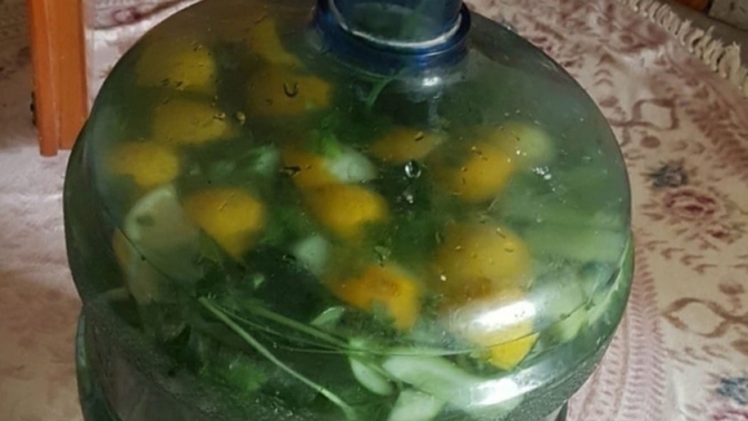 Kendimi biraz ödemli hissediyorum o yüzden küçük bir detox suyu yaptım… Sizce bu kadarı yeter mi yoksa biraz daha mı yapmam lazım?