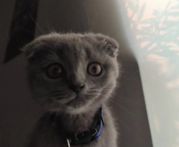 Size iyi gelmeyen ve bırakamadığınız şeyler var mı şu şebeğe alerjim var ama bırakamıyorum?