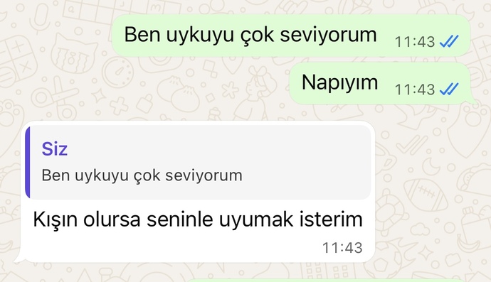 Daha flört ediyoruz sevgili bile değiliz normal mi bu cümleler?