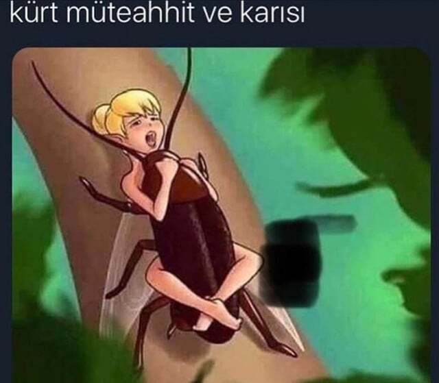Kürt Müteahhit kızları hakkında ne düşünüyorsunuz?