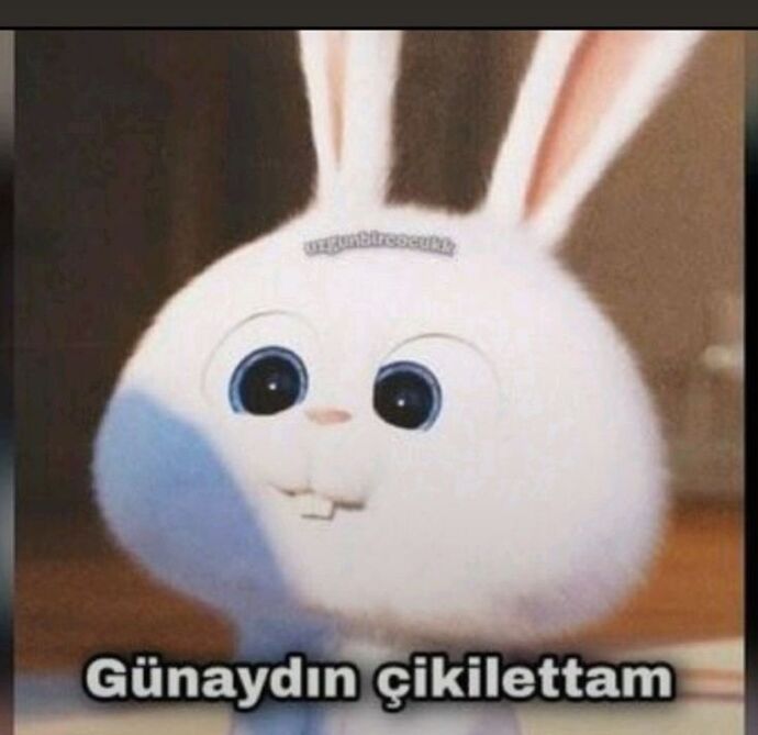 Günaydınnn Size bir şarkı bırakayım mi?