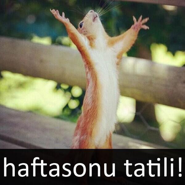 Hafta sonu tatillerini nasıl değerlendiriyorsunuz?