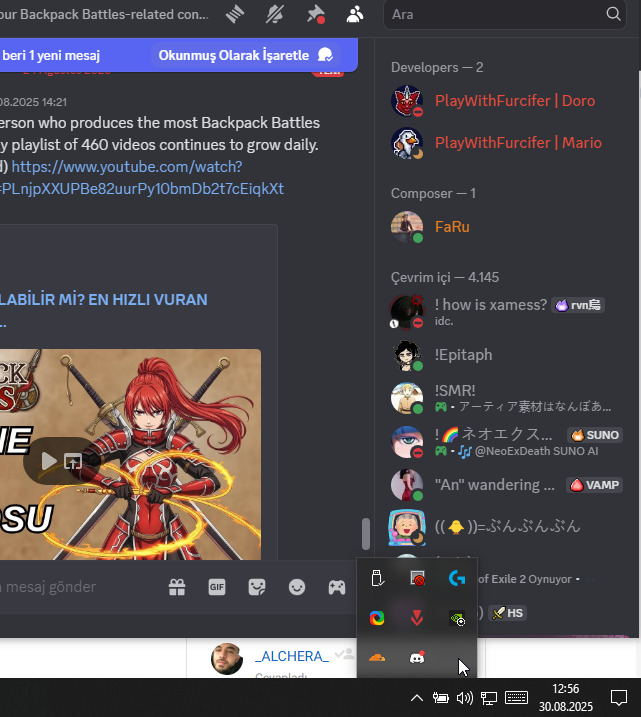 Discord dpi ile girmiyor?