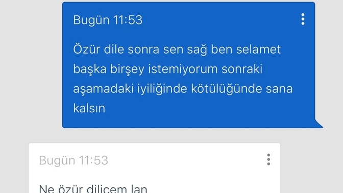 Küfür ettikten sonra engelleyip kaçan insan nasıl bir karaktere sahiptir?