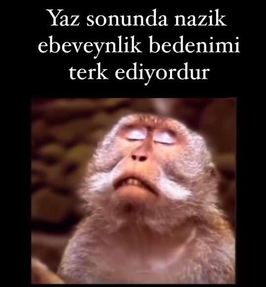 Yazın bittigini nerden anlıyorsunuz?