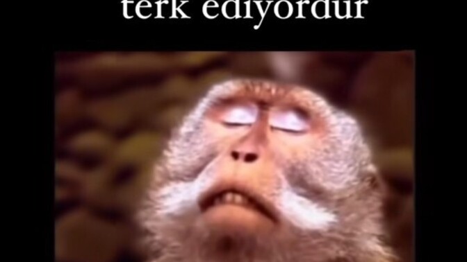 Yazın bittigini nerden anlıyorsunuz?