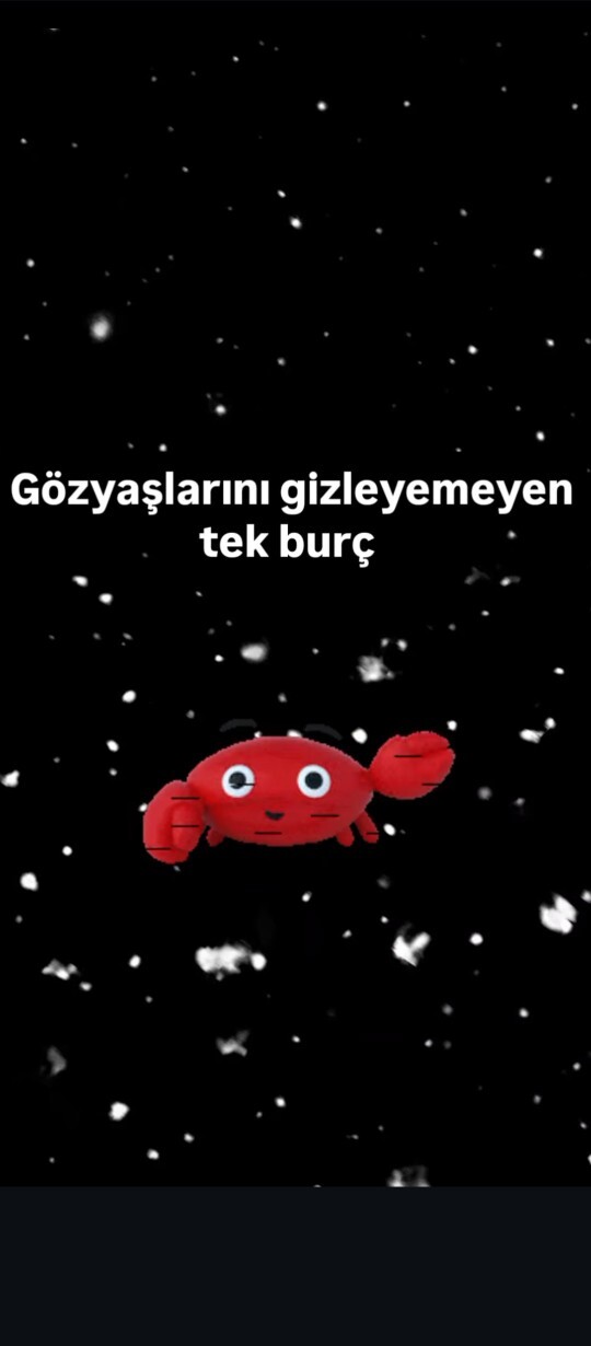 Gözyaşlarını saklayamayan tek burç hangisi?
