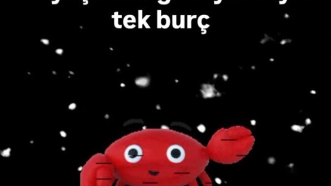 Gözyaşlarını saklayamayan tek burç hangisi?