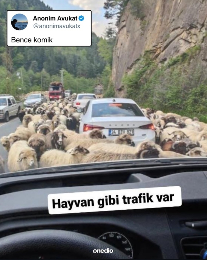 En sevdiginiz soğuk espriler nelerdir?