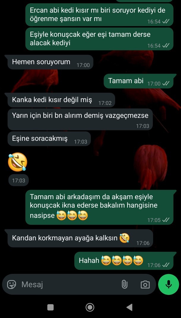 Evlenince neden erkekler eşlerinden korkuyor?